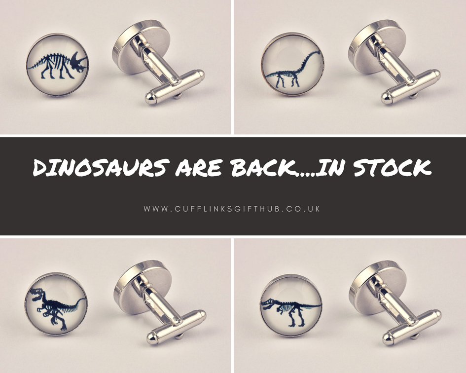 Mens Dinosaur Cufflinks