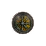 Viking Compass Lapel Pin